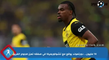14 مليون.. دورتموند يوقع مع تشوكويميكا في صفقة تعزز هجوم الفريق